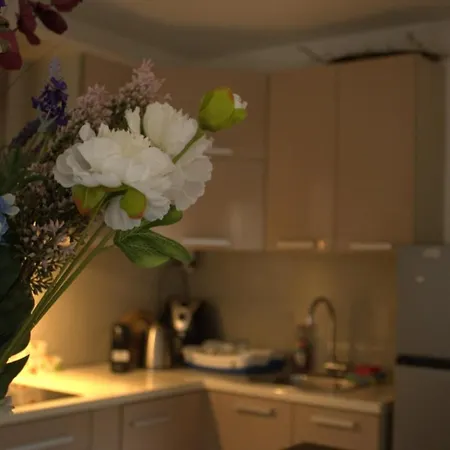 Warm Getaway 1br W Balcony Free Garage Prkng Апартаменты Сараево